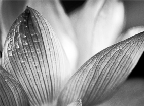 服务器攻击软件