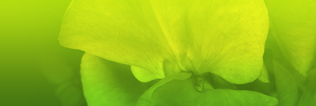 ddos压力测试网页端